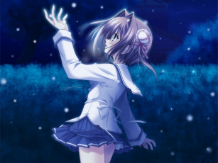 Картинка аниме da capo