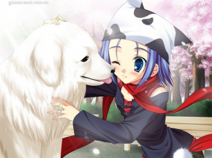 Картинка аниме da capo