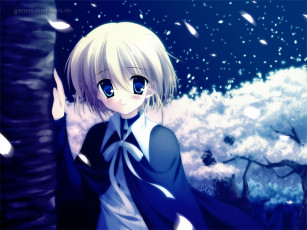 Картинка аниме da capo