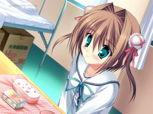 Картинка аниме da capo