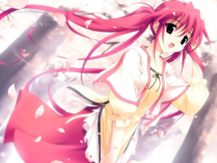 Картинка аниме *unknown другое