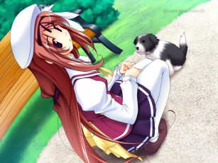 Картинка аниме *unknown другое