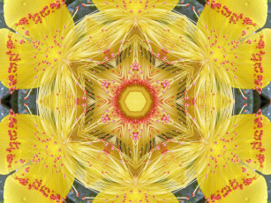 Картинка разное