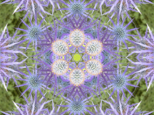 Картинка разное