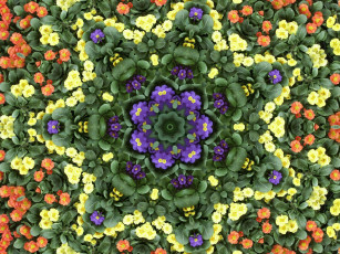 Картинка разное