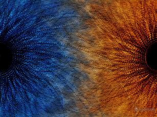 Картинка разное