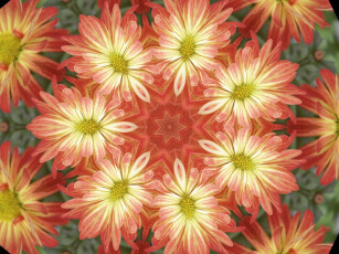 Картинка разное