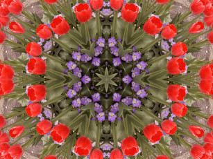 Картинка разное