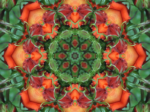 Картинка разное