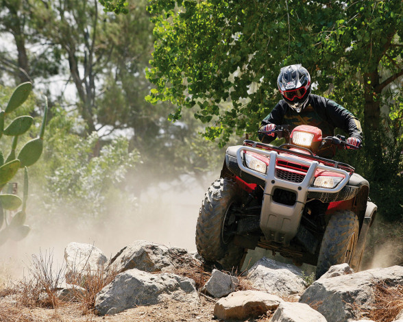 Обои картинки фото мотоциклы, квадроциклы