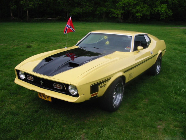 Обои картинки фото автомобили, ford