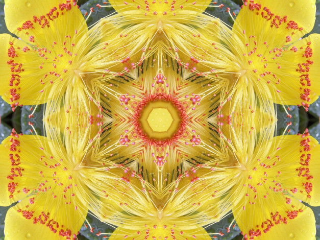 Обои картинки фото разное