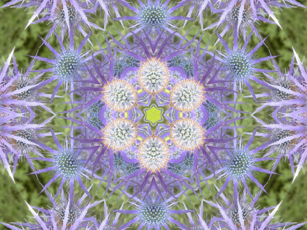 Обои картинки фото разное