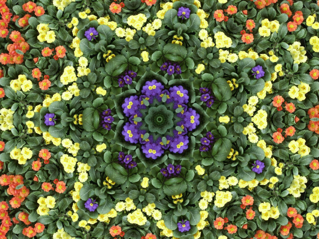 Обои картинки фото разное