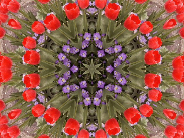 Обои картинки фото разное