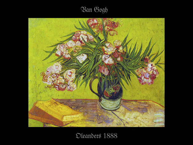 Обои картинки фото рисованные, цветы