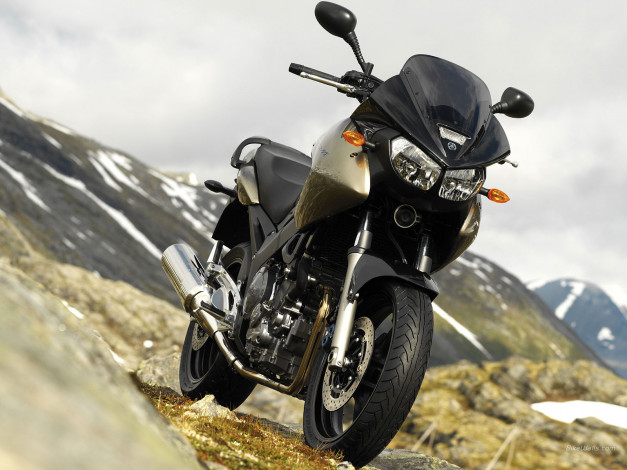 Обои картинки фото мотоциклы, yamaha