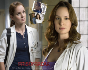 Картинка кино фильмы prison break