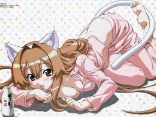 обоя аниме, seto, no, hanayome