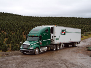 Картинка автомобили freightliner