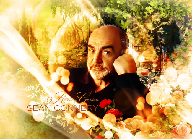 Обои картинки фото мужчины, sean, connery