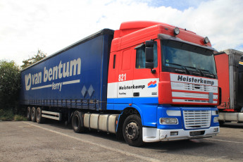 обоя daf, автомобили, седельные, тягачи, trucks, nv, автобусы, нидерланды, шасси