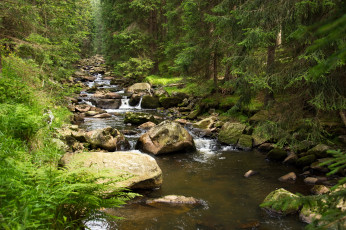 Картинка природа реки озера лес ручей камни