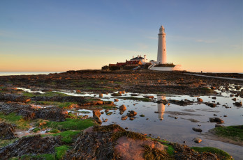 Картинка природа маяки берег лужи маяк мох камни