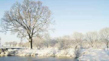 Картинка природа зима река снег деревья