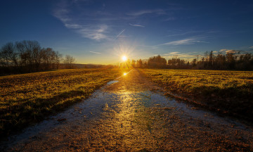Картинка природа восходы закаты лужи пле деревья солнце свет