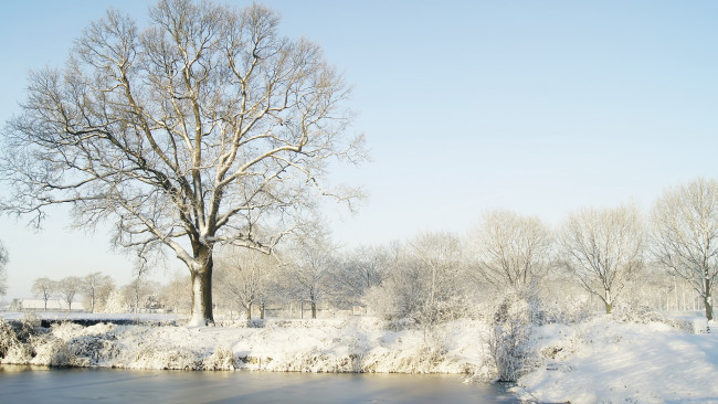 Обои картинки фото природа, зима, река, снег, деревья