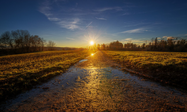 Обои картинки фото природа, восходы, закаты, лужи, пле, деревья, солнце, свет