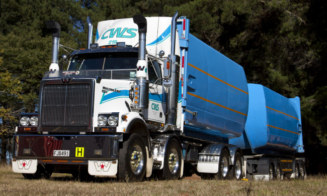 Обои картинки фото western star, автомобили, сша, грузовики, запчасти, тяжелые, western, star, trucks