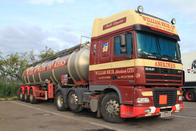 Обои картинки фото daf, автомобили, нидерланды, автобусы, шасси, седельные, тягачи, trucks, nv