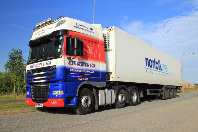 Обои картинки фото daf, автомобили, нидерланды, седельные, тягачи, trucks, nv, автобусы, шасси