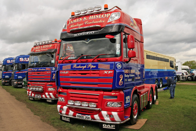 Обои картинки фото daf, автомобили, седельные, тягачи, trucks, nv, нидерланды, автобусы, шасси