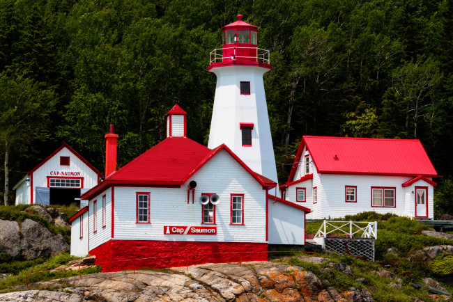 Обои картинки фото природа, маяки, лес, берег, скалы, маяк