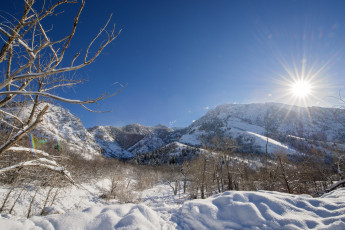 Картинка природа зима рассвет