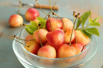 Картинка еда вишня +черешня макро ягоды капли черешня