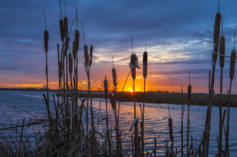 Картинка природа восходы закаты рассвет