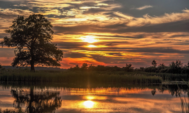 Обои картинки фото природа, восходы, закаты, рассвет