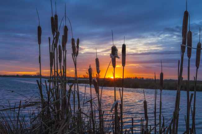 Обои картинки фото природа, восходы, закаты, рассвет