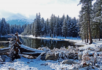 Картинка природа зима снег