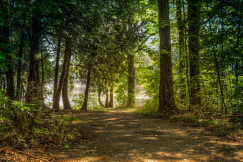 Картинка природа дороги тракт