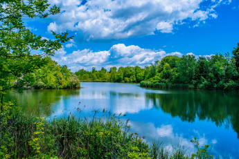 Картинка природа реки озера лес река