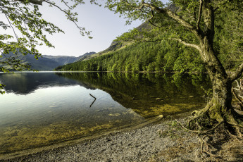 Картинка природа реки озера река лес