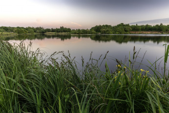 Картинка природа реки озера река лес