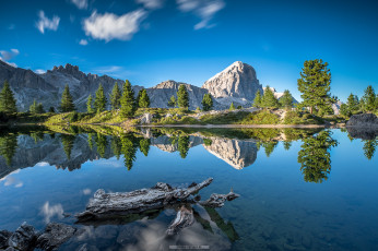 Картинка природа реки озера лес река