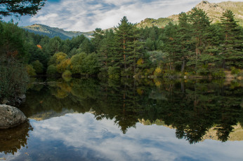 Картинка природа реки озера лес река