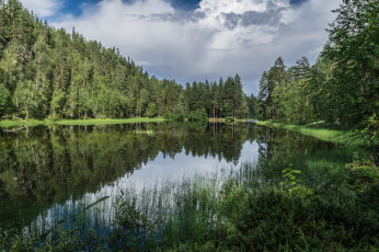 Картинка природа реки озера река лес